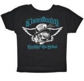 Camiseta da Bandas Aerosmith